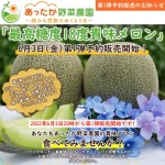 メロン第一弾予約販売開始のお知らせ