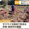 テレビ朝日グッド！モーニングでの農園紹介アイキャッチ画像