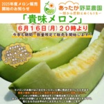 2025年HP用メロン販売開始のお知らせ