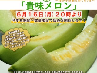 2025年HP用メロン販売開始のお知らせ