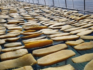 芋を天日干ししている様子-2026