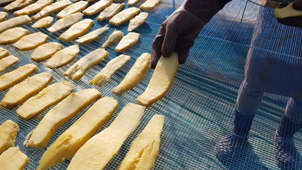 芋を網に並べている様子-2026