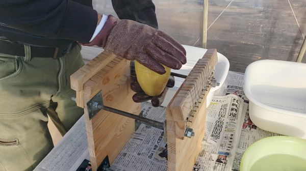 芋を裁断している様子-2026